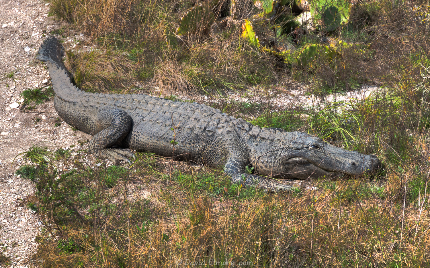 Aransas National Wildlife Refuge | David, Janet, and Vanessa