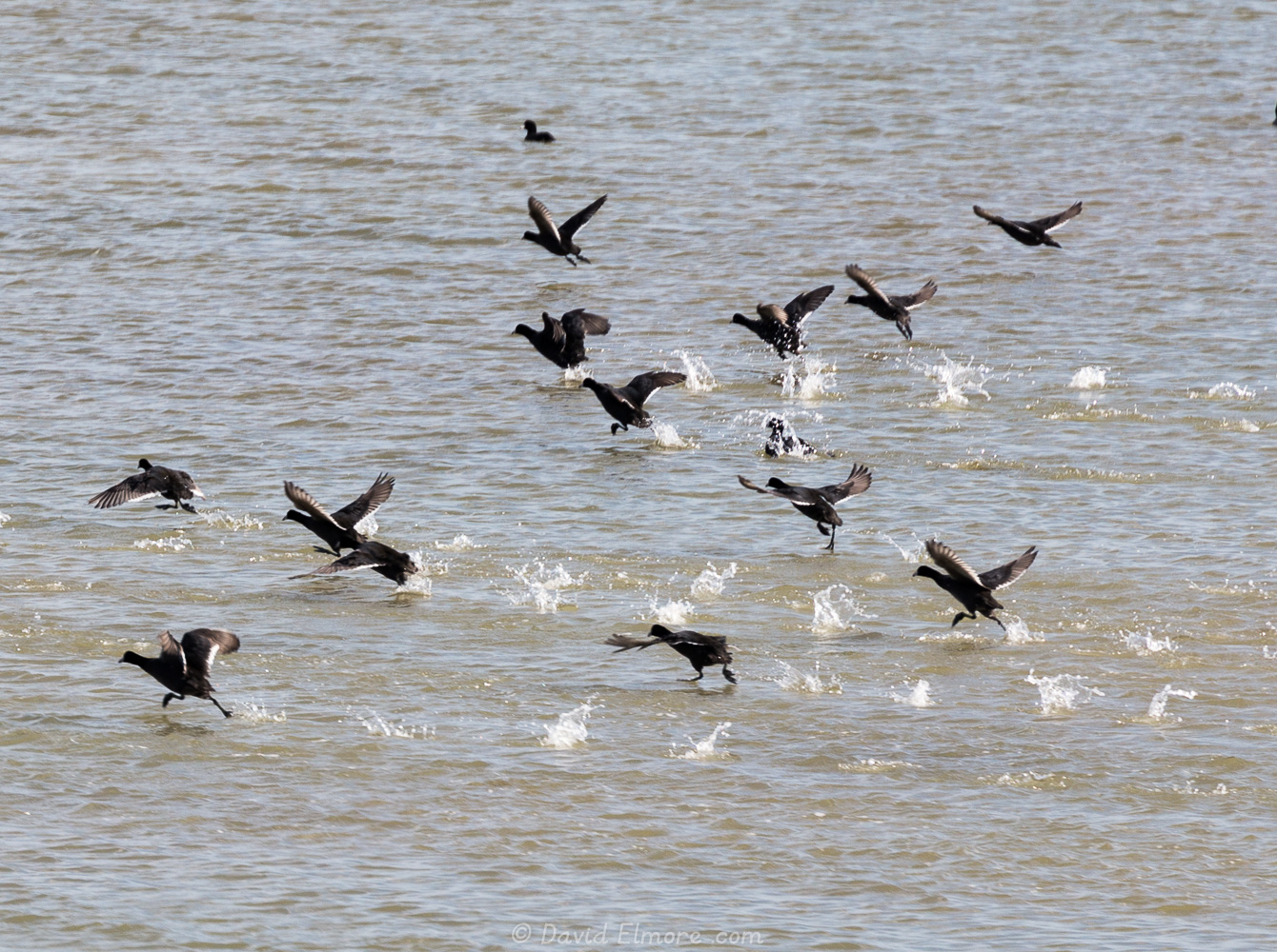 Aransas National Wildlife Refuge | David, Janet, and Vanessa