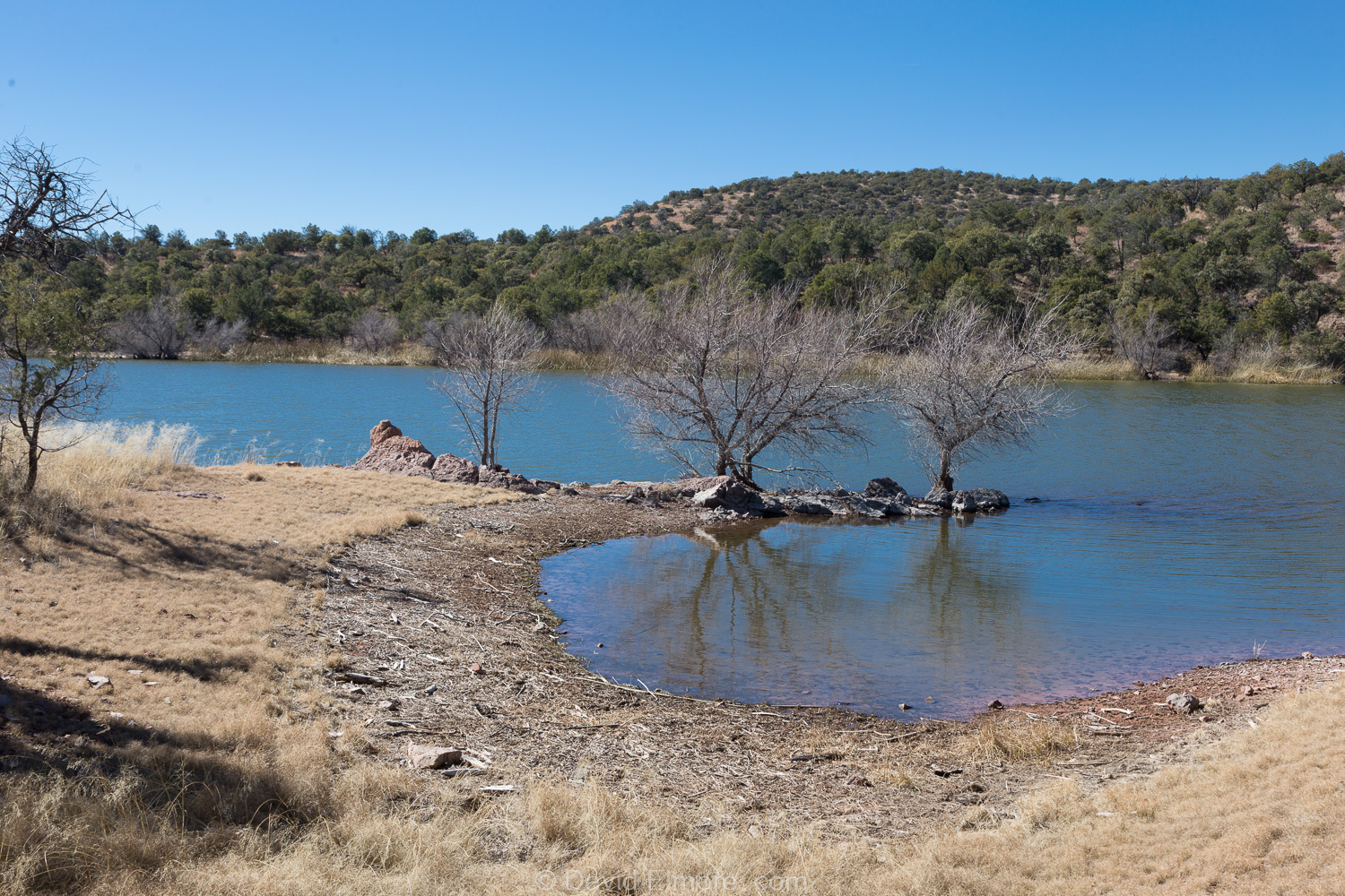 Are Dogs Allowed At Parker Canyon Lake