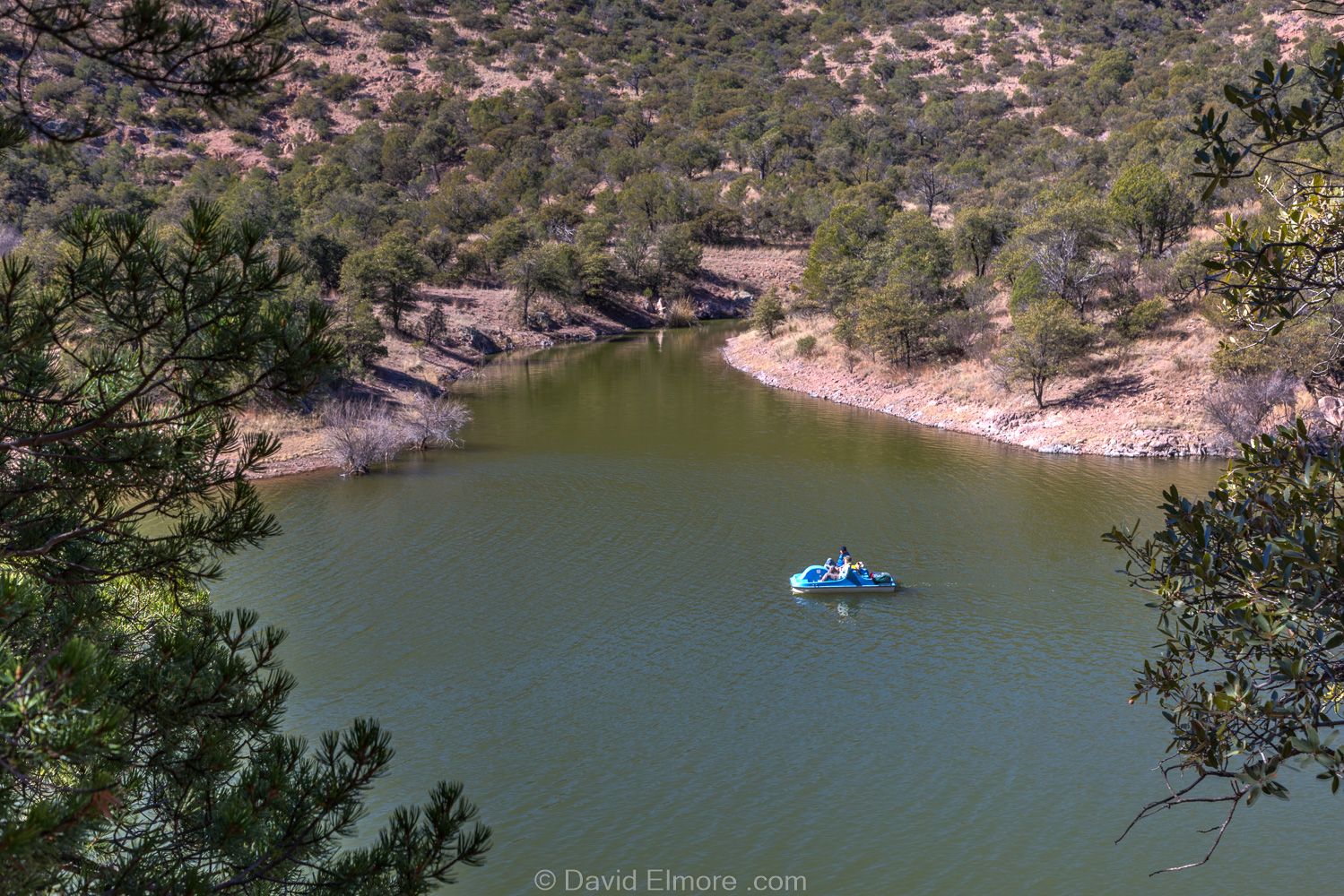 Are Dogs Allowed At Parker Canyon Lake