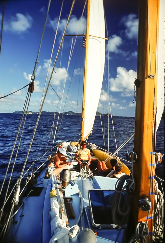 Dovekie - Virgin Islands - February 1978