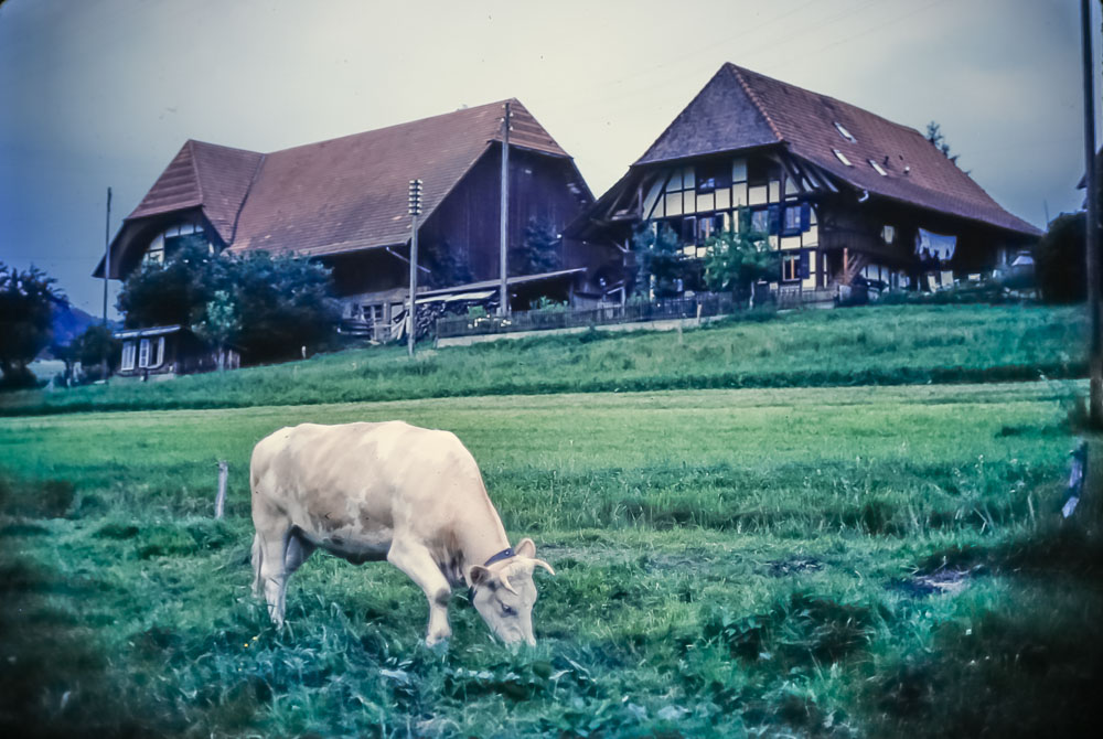 Near Bern, June 1986