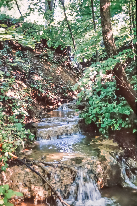 1989 Ravine water