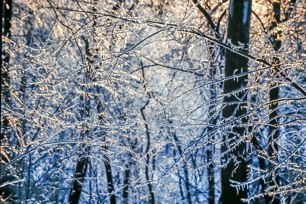 1991 March ice storm