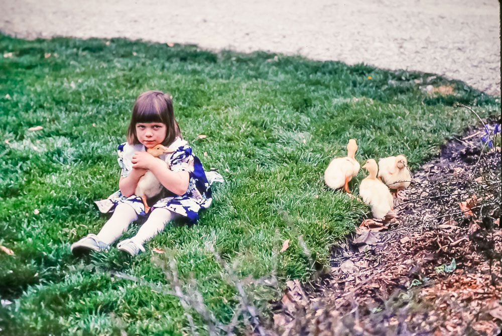 1995 Amanda and ducks