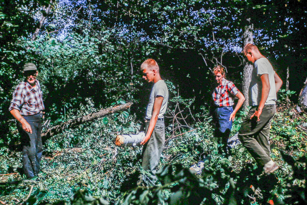 1963 Harry, David, Barbara, and Joe clearing for power line