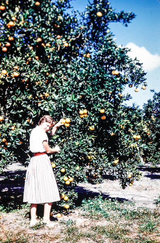 1954 Mary in Florida