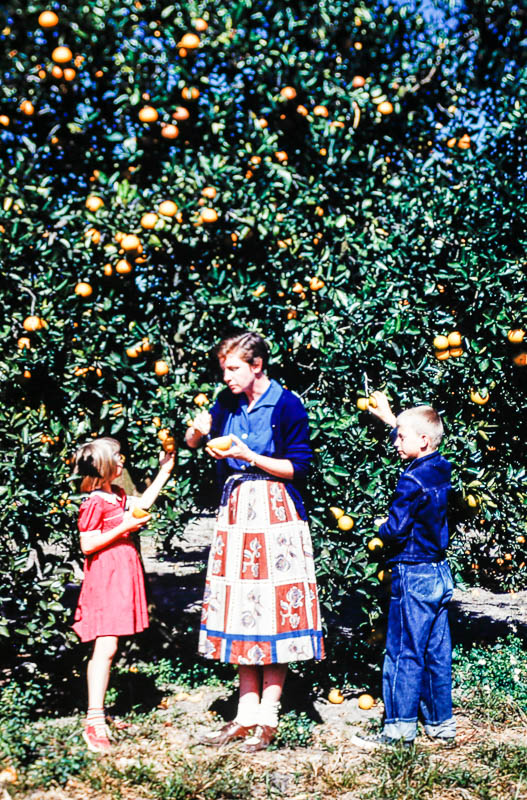 1954 Liz,, Barbara, and David in Florida