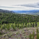Grand Teton National Park