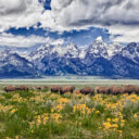 Grand Teton National Park