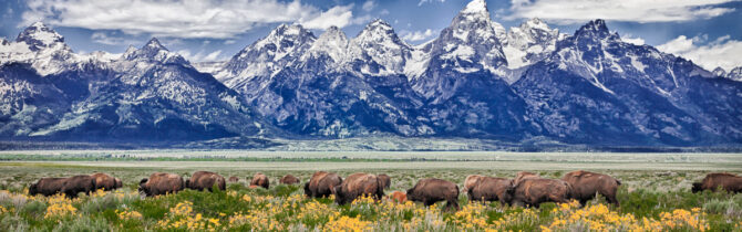 Grand Teton National Park