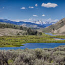 Gros Ventre Wilderness I