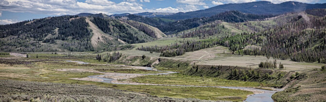 Gros Ventre Wilderness I