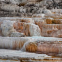 Yellowstone Mammoth Hot Springs