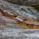 Yellowstone Mammoth Hot Springs