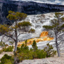 Yellowstone Mammoth Hot Springs