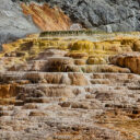 Yellowstone Mammoth Hot Springs