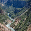 Yellowstone Falls and River