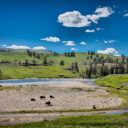 Yellowstone Falls and River