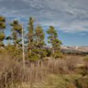 Glacier National Park