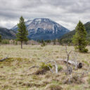 Red Rock Canyon to Bow Valley