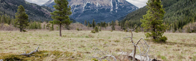 Red Rock Canyon to Bow Valley