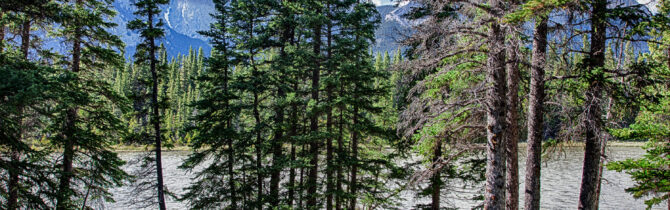 Red Rock Canyon to Bow Valley