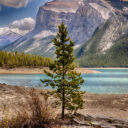 Banff National Park