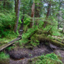 Ketchikan Hiking