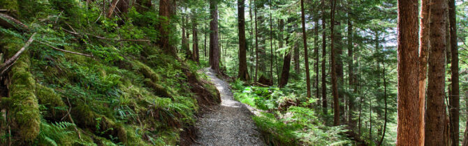 Ketchikan Hiking