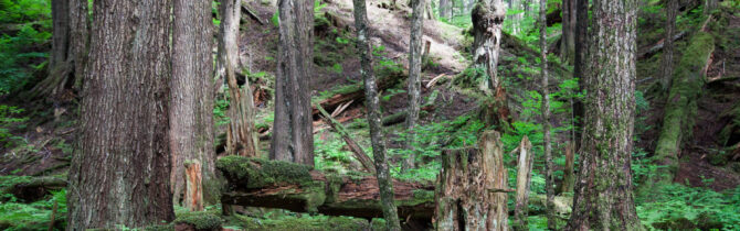 Wrangell to Petersburg