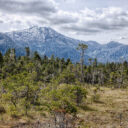 LeConte Glacier