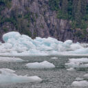 LeConte Glacier