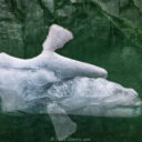 LeConte Glacier