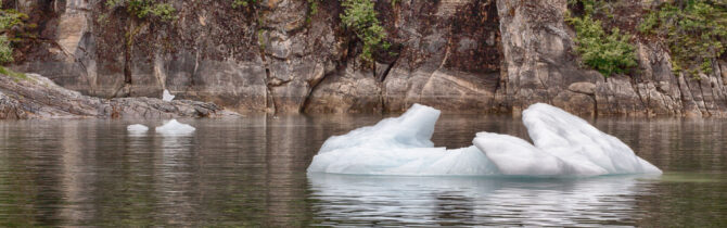 LeConte Glacier