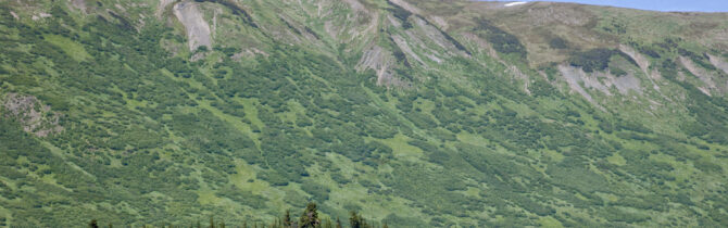 Seward Highway