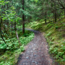 Juneau Hikes