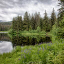 Juneau Hikes