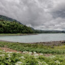 Haines