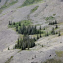 Kluane National Park