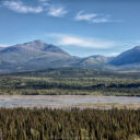 Alaska Highway to Tok