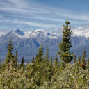 Alaska Highway to Tok