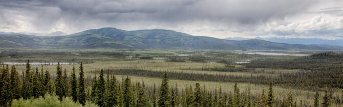 Alaska Highway to Tok