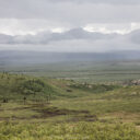 Teklanika I