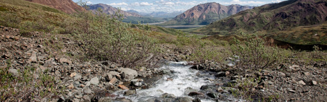 Denali Mountain