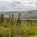 Dalton Highway I