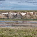 Dalton Highway II