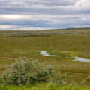 Dalton Highway II