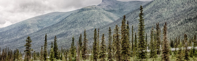 Dalton Highway III