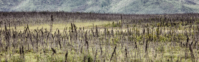 Dalton Highway III